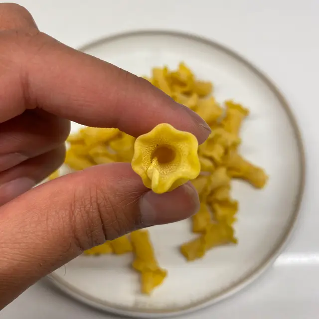 Campanelle held between fingers