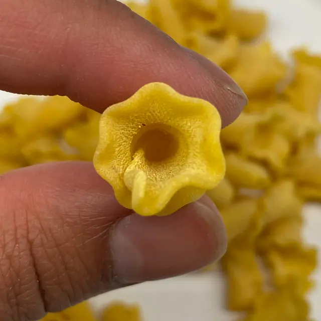 A close up shot of Campanelle held between fingers