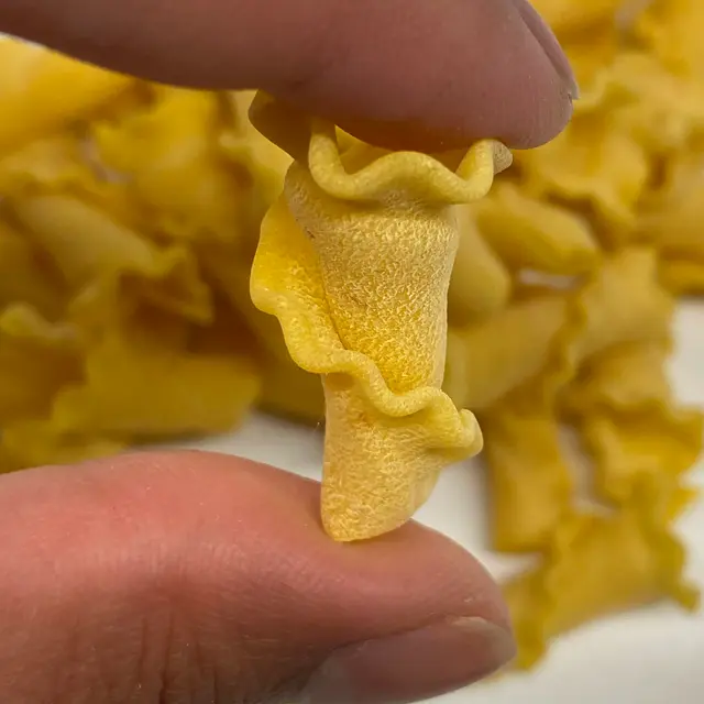 A close up shot of Campanelle held between fingers