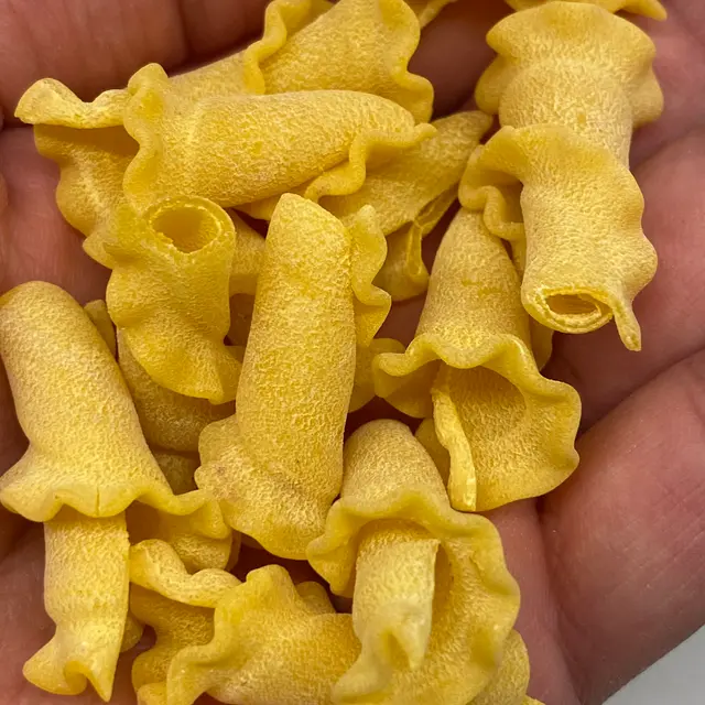 A close up shot of Campanelle in a hand