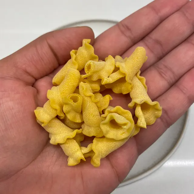 Campanelle in a hand