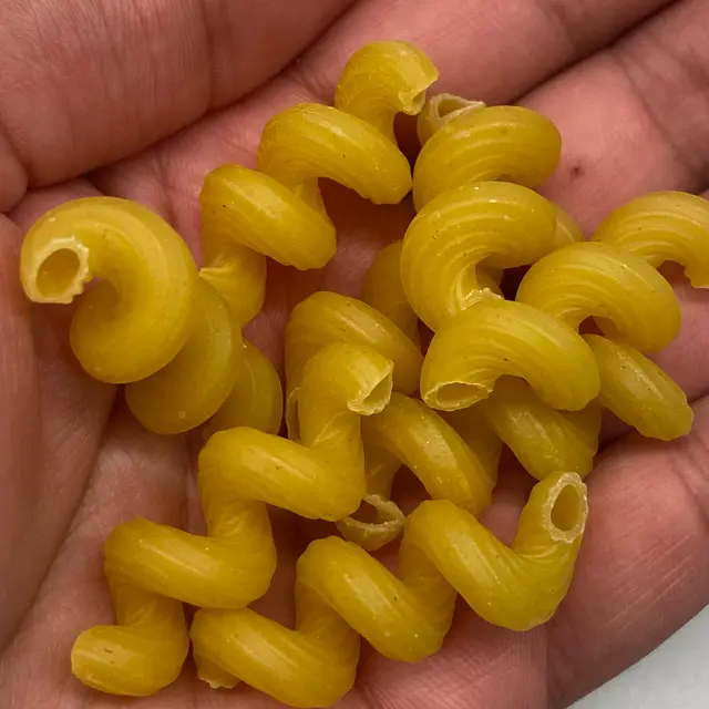 A close up shot of Cavatappi in a hand