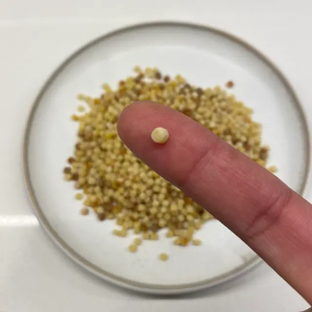 Fregola held between fingers