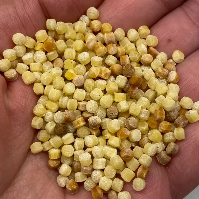 A close up shot of Fregola in a hand