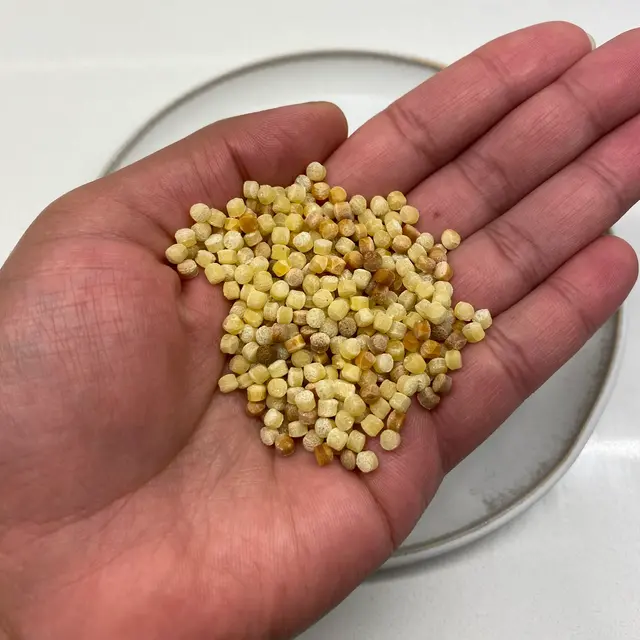 Fregola in a hand