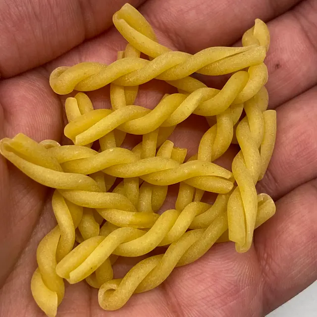 A close up shot of Gemelli in a hand