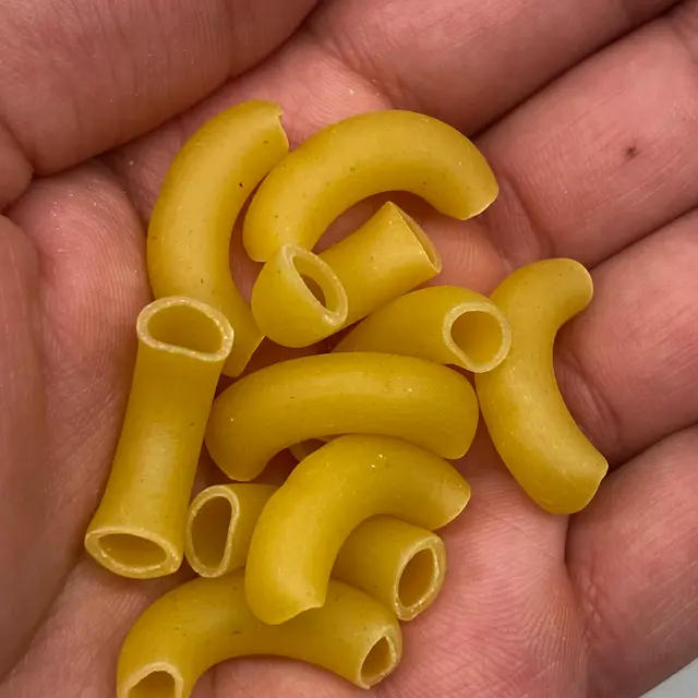 A close up shot of Large Elbow Macaroni in a hand