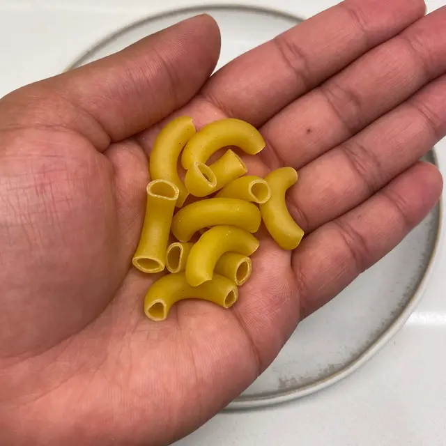 Large Elbow Macaroni in a hand