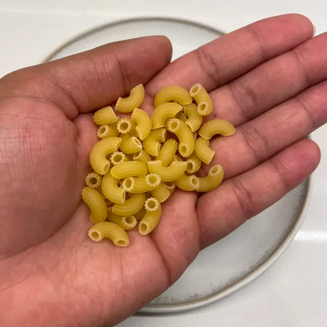 Small Elbow Macaroni in a hand