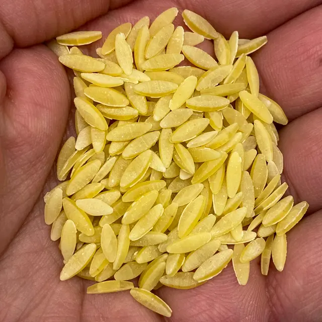 A close up shot of Orzo in a hand