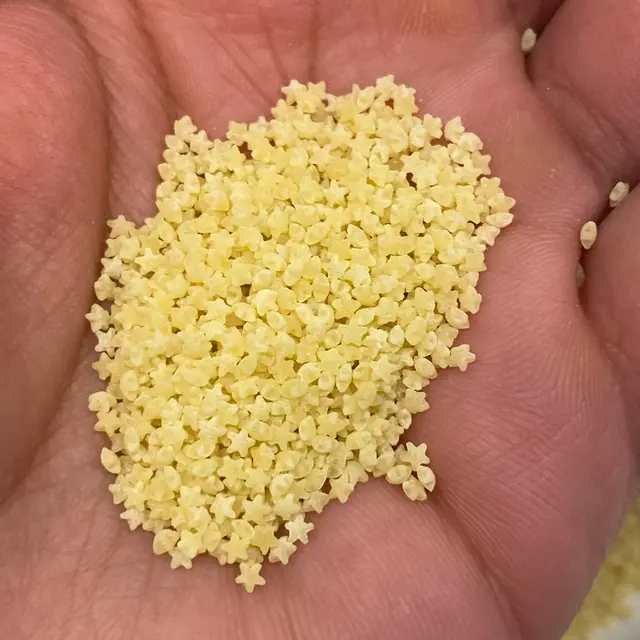 A close up shot of Pastina in a hand