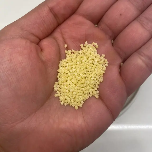 Pastina in a hand