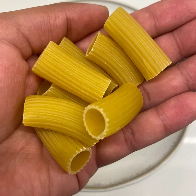 Rigatoni in a hand