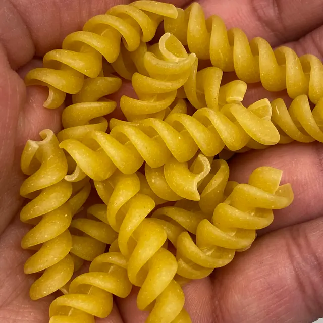 A close up shot of Rotini in a hand