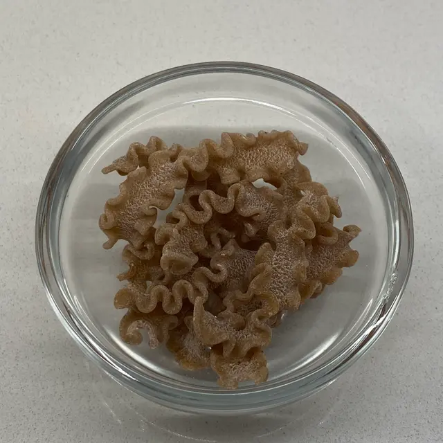 A close up shot of Scarabocchio in a small round white glass bowl